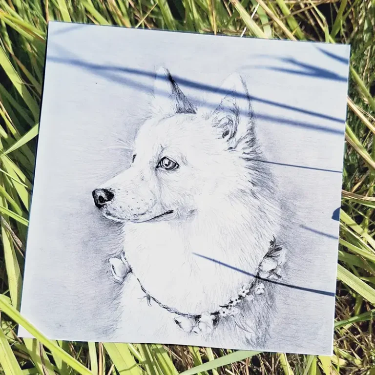 pencil portrait of white dog