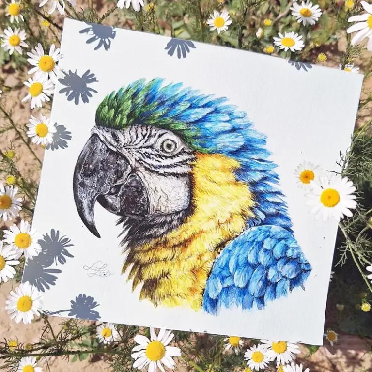 parrot portrait