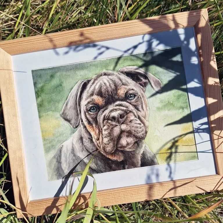 framed bulldog watercolor painting