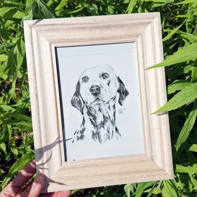 framed dalmatian pencil portrait